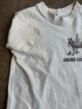 70’s Grand Canyon tee | xxs